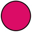 Fuchsia Fuchsia